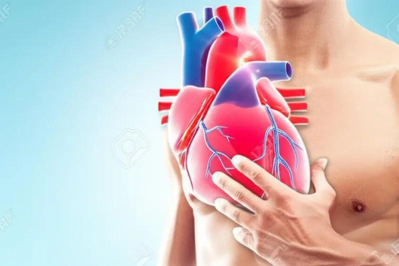 Hayu urang ngobrolkeun hubungan antara beurat awak sareng kaséhatan jantung (aterosklerosis)?