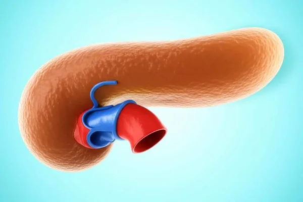 Pancreas Divisum: මේක බය වෙන්න ඕන දෙයක්ද? අපි හරියටම දැනගමු! (What is Pancreas Divisum?)