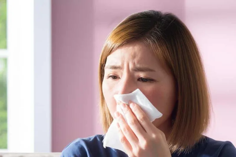 Naha ieu pilek? Naha ieu alergi? Atawa ieu flu? Hayu urang terang naon ari pilek téh (Common Flu)