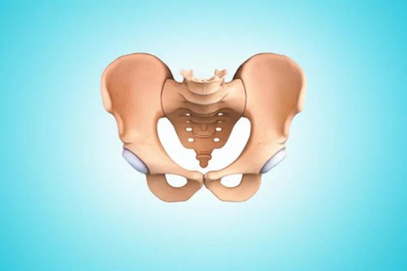 ගයිනකොයිඩ් පැල්විස් (Gynecoid Pelvis) එකක් කියන්නේ මොකක්ද? දරු ප්රසූතියට මේක බලපාන හැටි දැනගමු!