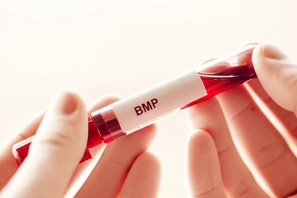 讓我們來了解一些關於血液的秘密。什麼是基礎代謝指標(BMP)?