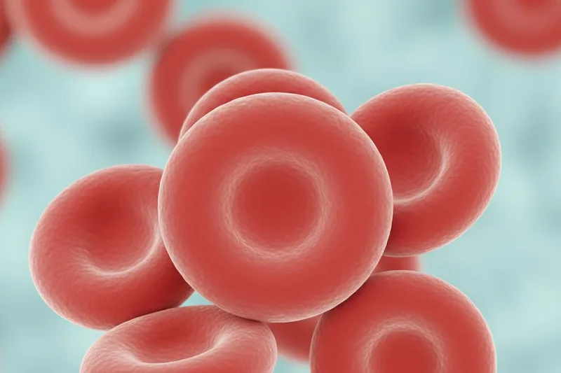 ඔයාගේ ලේ වර්ගය මොකක්ද? අපි මේ ලේ වර්ග (Blood Types) ගැන හරියටම දැනගමුද?