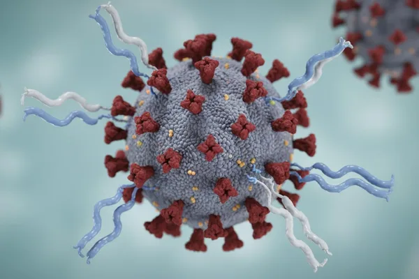 COVID-19 සහ ප්රතිදේහ පරීක්ෂණ (Antibody Testing) ගැන සරලවම දැනගමුද?