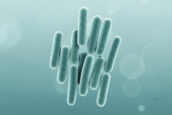 ලිස්ටීරියා ගැන බයද? (Listeriosis) අපි මේ භයානක බැක්ටීරියාව ගැන හරියටම දැනගමු!