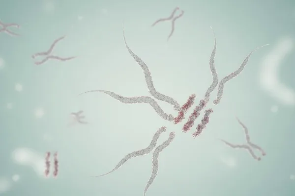 මොනවද මේ මොනොක්ලෝනල් ඇන්ටිබොඩීස් (Monoclonal Antibodies)? අපි සරලවම තේරුම් ගමු.