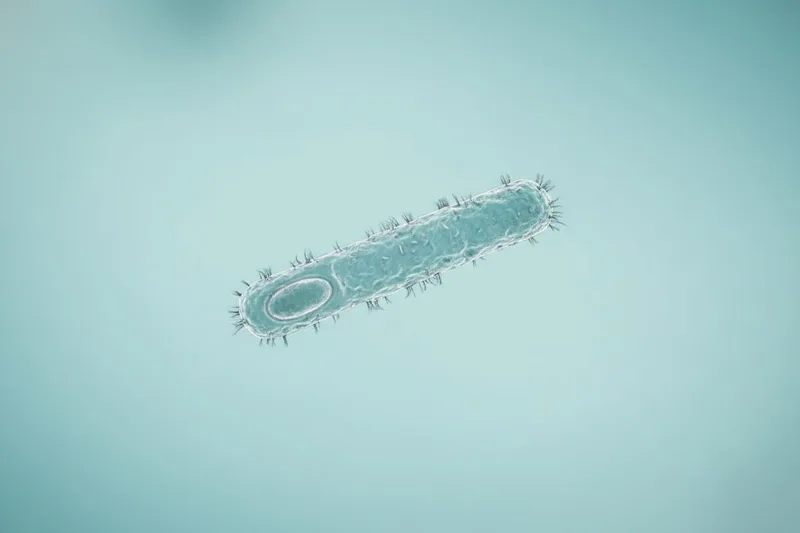 您是否了解肉毒桿菌中毒這種危險的疾病?我們來聊聊它吧!