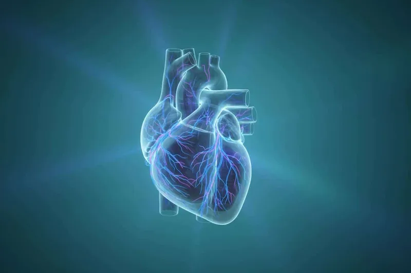 آیا ستاسو د زړه بریښنایی سیګنال ګډوډ شوی دی؟ (کیڼ مخکنی فاسکولر بلاک)