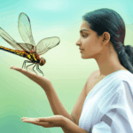 බත්කූරා (Dragonfly): බත්කූරෝ ඇත්තටම හපා කනවාද, විෂ සහිතද සහ බත්කූරා ගැන විස්තර