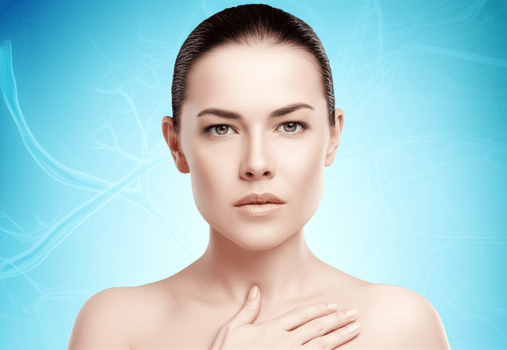 ඔයාගේ ඇඟ පුරාම ලේ ගමන් කරන්නේ කොහොමද? (Blood Flow and Circulatory System) අපි සරලවම දැනගමු!