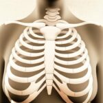 අපේ ඉළ ඇට කූඩුව (Rib Cage) සහ ඉළ ඇට වේදනාව ගැන ඔයා දැනගන්නම ඕනේ දේවල්