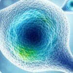 ලිම්ෆොසයිට (Lymphocytes) කියන්නේ මොනවද? ලේ රිපෝට් එකේ Lymphocytes වැඩි හෝ අඩු වීම ගැන දැනගනිමු (Lymphocytes)