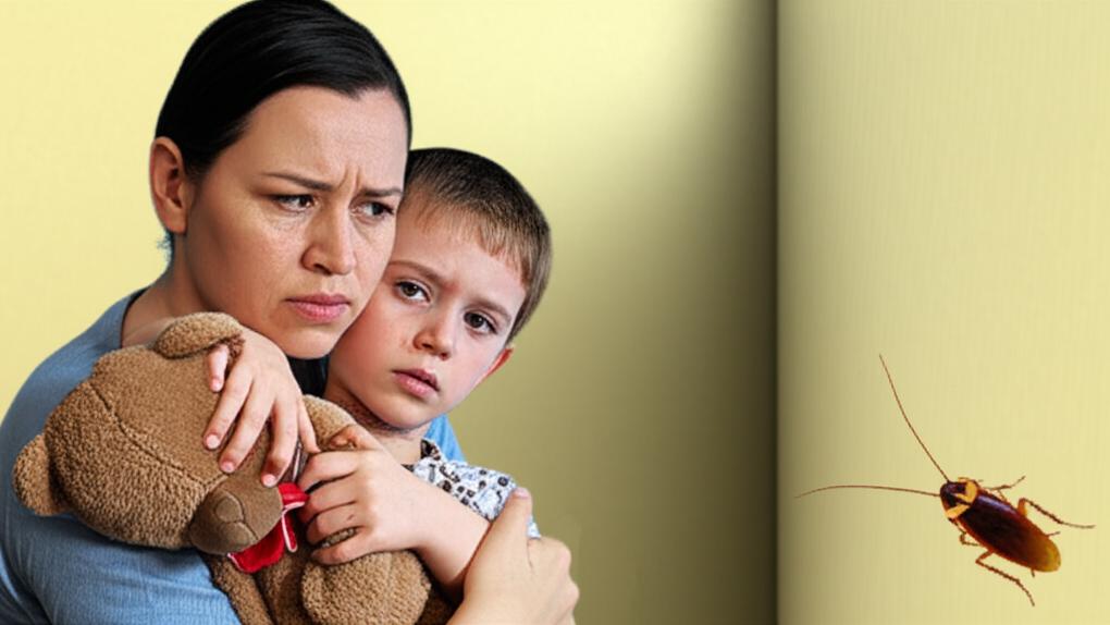 ගෙදර හැමතැනම කැරපොත්තොද? මේ කරදරකාරයෝ ඔයාගේ සෞඛ්‍යයට කොහොමද බලපාන්නේ කියලා දැනගමු (Cockroaches & Health)