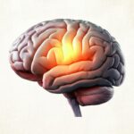 छोटी-छोटी बातों पर डर या गुस्सा? जानिए आपके दिमाग के 'एमिग्डाला' का सच!