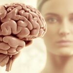 मस्तिष्क का 'छोटा हिस्सा' (सेरेबेलम): इसके बारे में आपको क्या जानना चाहिए!