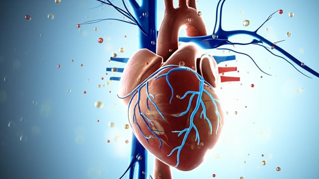 Norepinephrine සහ Epinephrine: මේ දෙකේ වෙනස හරියටම දැනගමුද?