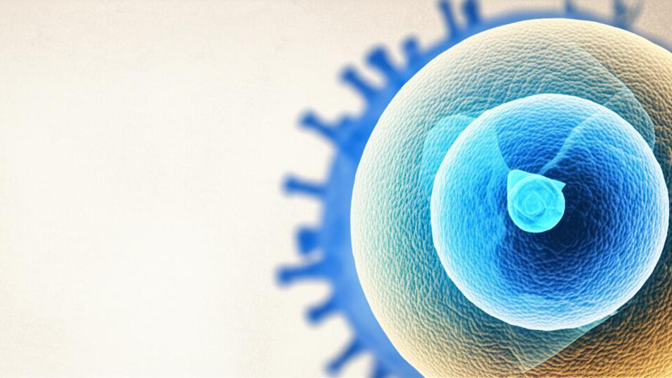 What is this JC virus? Should we really be afraid?