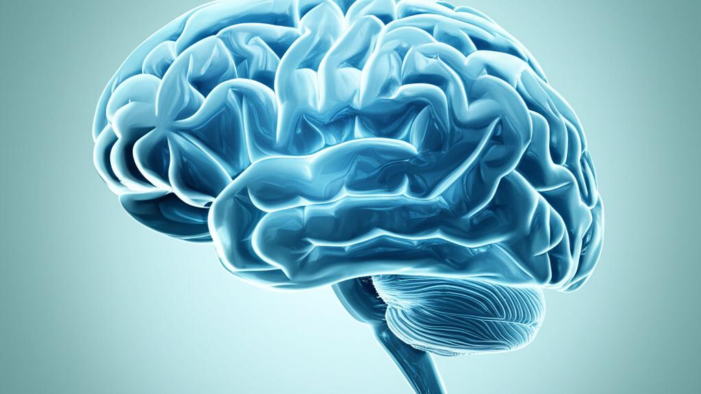 මොළයේ රෝග සහ ඒවායේ ලක්ෂණ ගැන සරලවම දැනගමු (Brain Diseases)