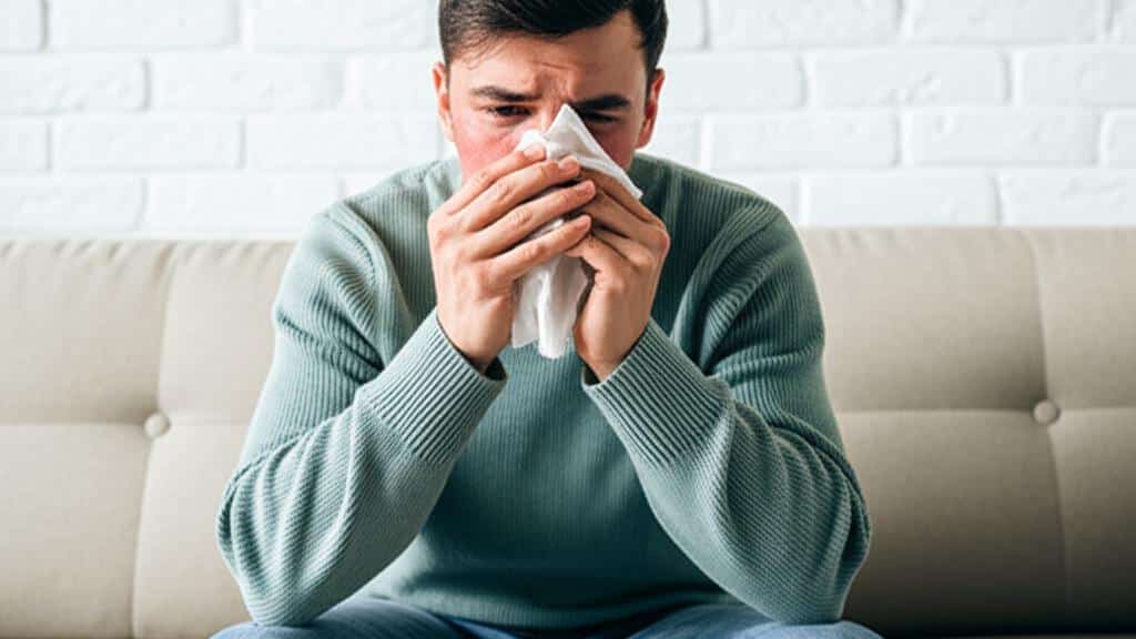 Det er koldt overalt i disse dage! Hvordan beskytter man sig mod influenza?