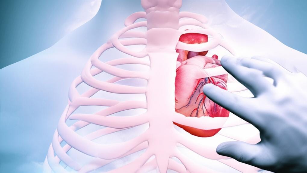 How well does your heart pump blood? Let's simply learn about Ejection Fraction!
