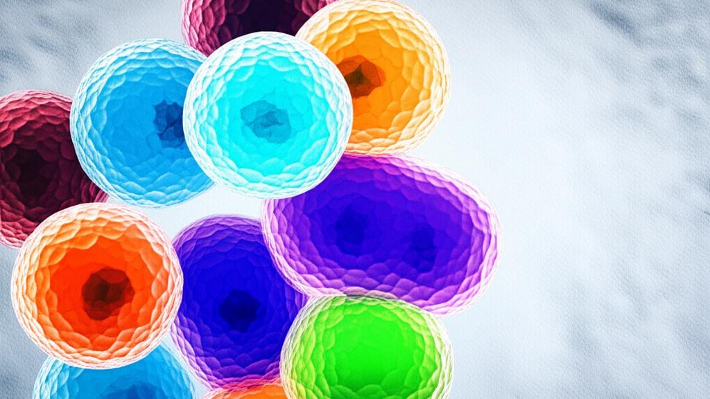What is Epithelium? Let's learn about it simply!