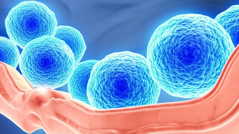 මොටිලින් (Motilin) කියන්නේ මොකක්ද? ඔයාගේ සිරුරට මේකෙන් වෙන උදව්ව මොකක්ද?