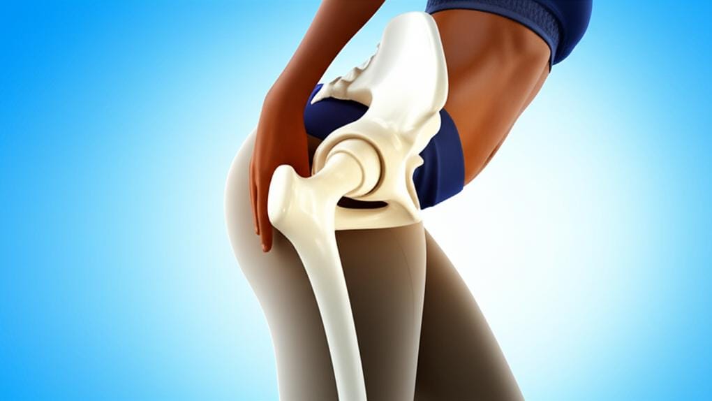 Want to know exactly what your hip joint is? Let's talk about this!