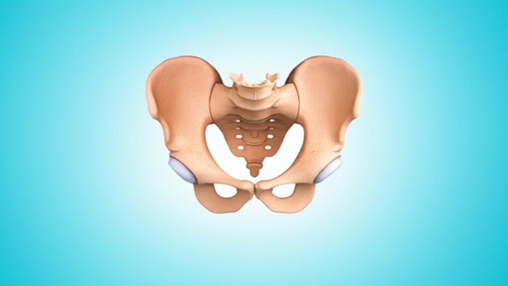 What is a Gynecoid Pelvis? Let's find out how it affects childbirth!
