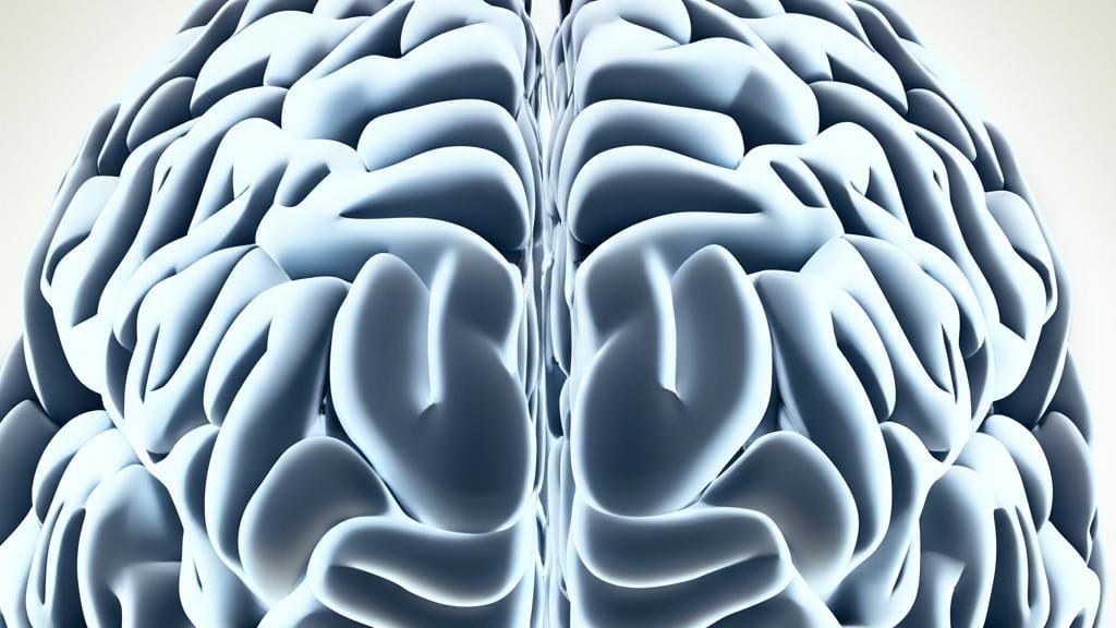 Do you really know about this "gray matter" in your brain? Let's talk about it!