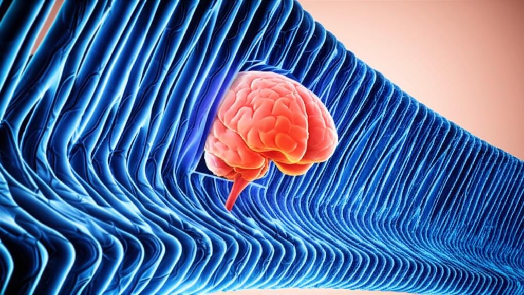 Have you heard about the Blood-Brain Barrier, the super protector of your brain?