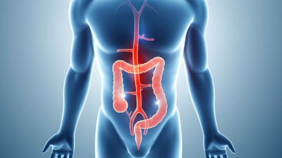 Let's learn more about this important vein (Superior Mesenteric Vein) inside your stomach.