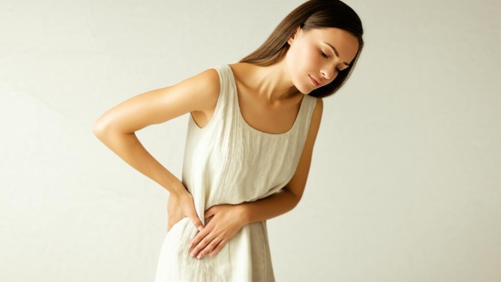 Did you know about this important vein in your kidneys? Let's talk about the renal vein!