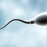 ශුක්‍ර තරලය (Semen) කියන්නේ මොකක්ද? සංයුතිය, වෙනස්කම් සහ පිරිමි සරුභාවය ගැන ඔයා දැනගන්නම ඕනේ දේවල්!