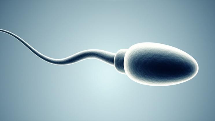 Things you need to know about sperm: Let's talk!