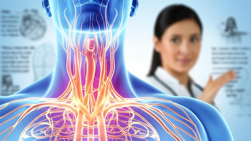 Do you know about this long tube inside our chest? (Thoracic Duct) - Let's learn the details!