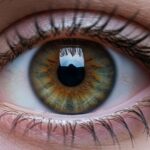 Всё о зрачке глаза: как он работает, почему он чёрный и о чём говорят его изменения