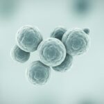 MRSA ආසාදනය (Methicillin-resistant Staphylococcus aureus) කියන්නේ මොකක්ද? රෝග ලක්ෂණ, ප්‍රතිකාර සහ ආරක්ෂා වන ආකාරය