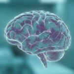 Хроническая травматическая энцефалопатия (ХТЭ): причины, симптомы и жизнь с диагнозом