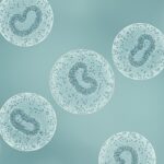 ඔයාගේ ලේ වාර්තාවේ මොනොසයිට් (Monocytes) ගාණ වැඩිද? මොනොසයිටෝසිස් (Monocytosis) ගැන හැමදේම දැනගමු!