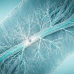 লেফট বান্ডেল ব্রাঞ্চ ব্লক (LBBB) কী? কারণ, লক্ষণ ও আধুনিক চিকিৎসা