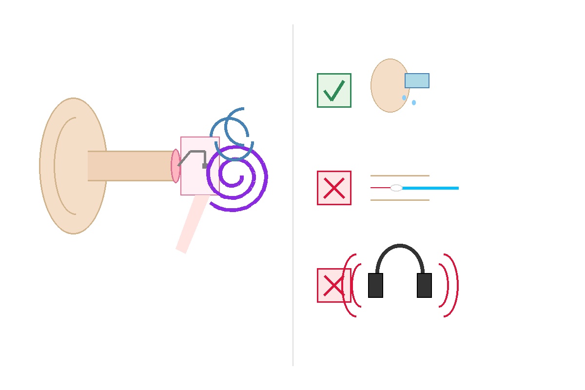අපේ කන් දෙකේ පුදුම කතාව (Ear Anatomy and Function) Infographic