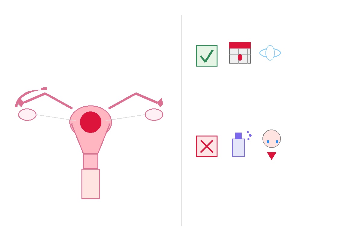 කාන්තා ප්රජනක පද්ධතිය (Female Reproductive System) ගැන සරලවම කතා කරමුද? Infographic
