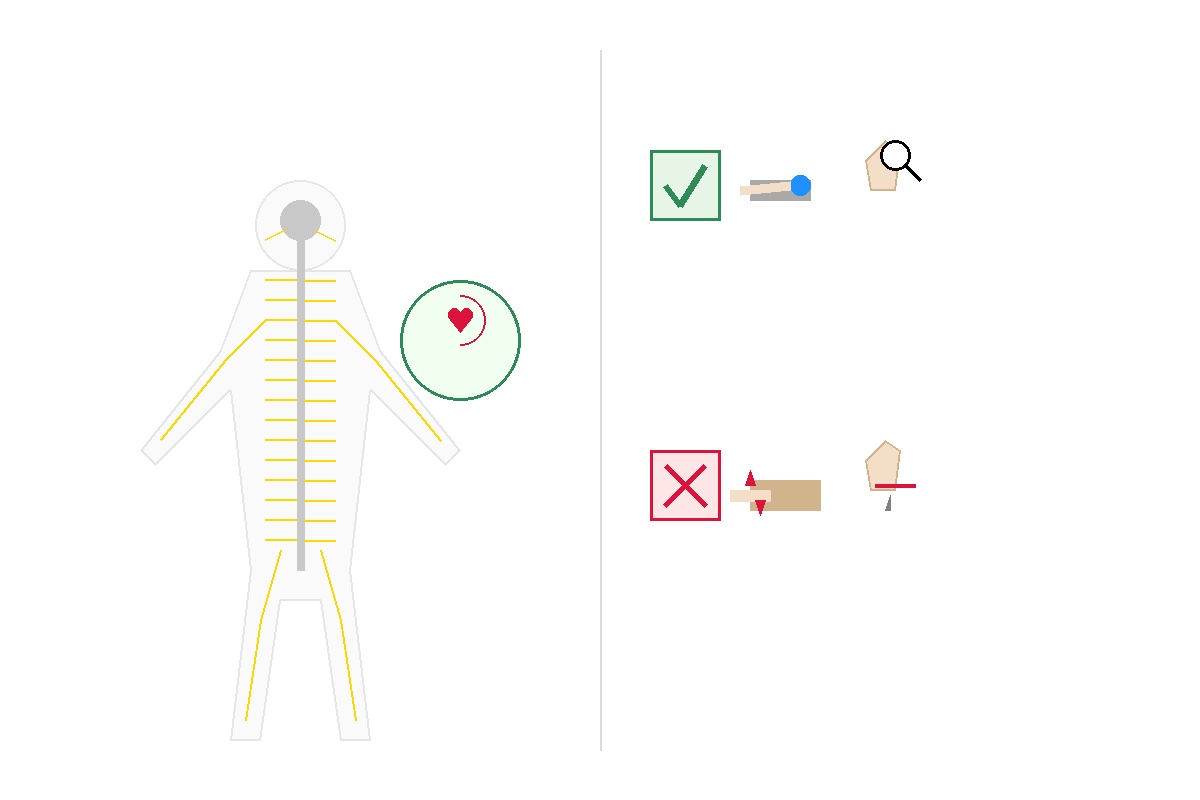 අපේ ඇඟ පුරාම තොරතුරු ගෙනියන මේ පුදුම ජාලය (Peripheral Nervous System) ගැන කතා කරමුද? Infographic