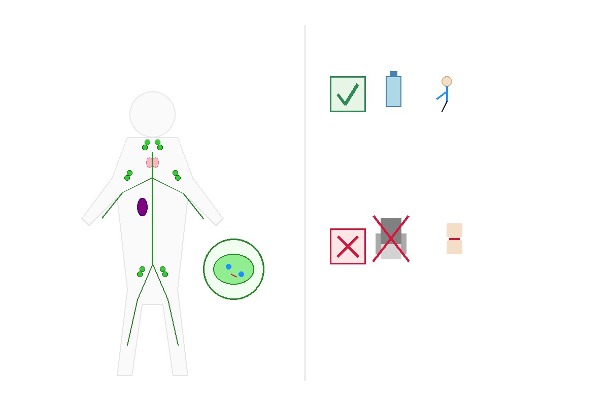 අපේ ඇඟේ ඉන්න මේ නිහඬ ආරක්ෂකයා - වසා පද්ධතිය (Lymphatic System) ගැන හරියටම දැනගමුද? Infographic